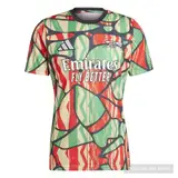Front product image of Arsenal 24/25 Pre Match Shirt